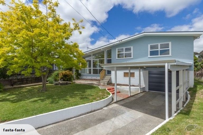 Photo of property in 20 Patrick Place, Fitzroy, Hamilton, 3206