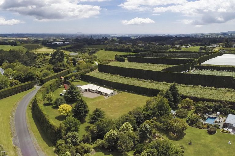 Photo of property in 160 Merrick Road, Pyes Pa, Tauranga, 3173