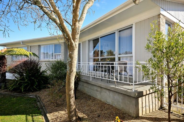 Photo of property in 194 Whatawhata Road, Dinsdale, Hamilton, 3204