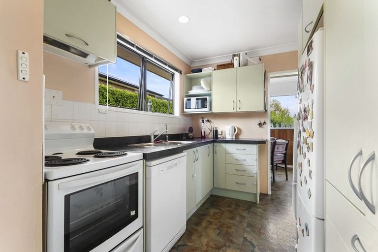 Photo of property in 65 Bremworth Avenue, Dinsdale, Hamilton, 3204