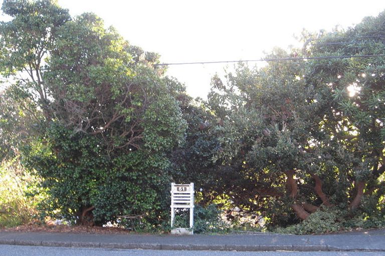 Photo of property in 51 Leinster Avenue, Raumati South, Paraparaumu, 5032