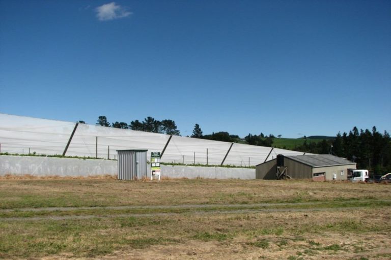 Photo of property in 1082 Te Matai Road, Te Ranga, Te Puke, 3188