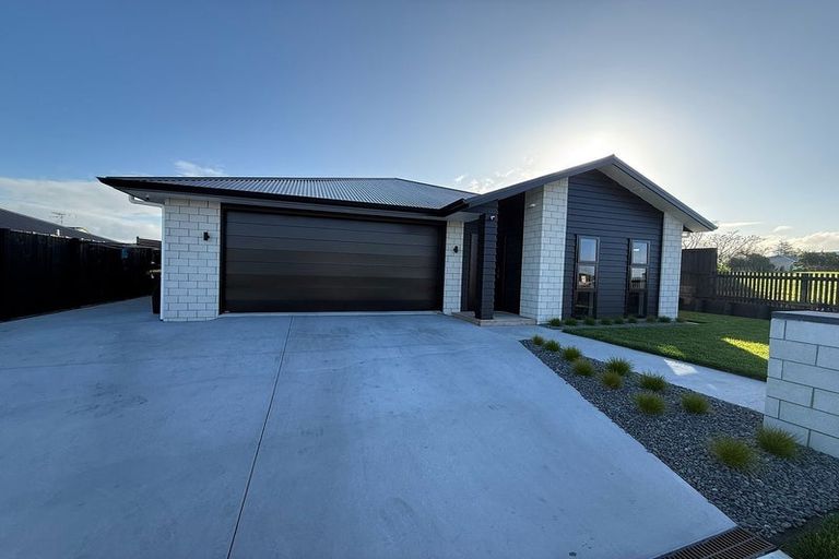 Photo of property in 25 Hoki Avenue, Morrinsville, 3300