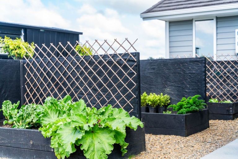 Photo of property in 18 Woodleigh Lane, Mangawhai, 0573