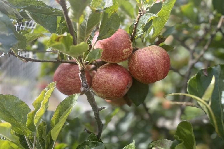 Photo of property in 94 Hibiscus Coast Highway, Red Beach, 0932