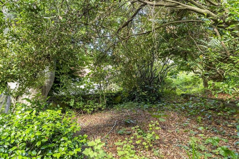 Photo of property in 47 Peter Street, Caversham, Dunedin, 9012