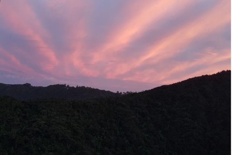 Photo of property in 164-166 Lone Kauri Road, Karekare, New Lynn, 0772