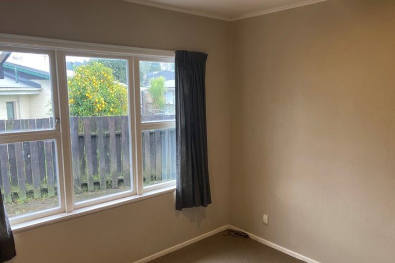 Photo of property in 62 Fitzroy Avenue, Fitzroy, Hamilton, 3206