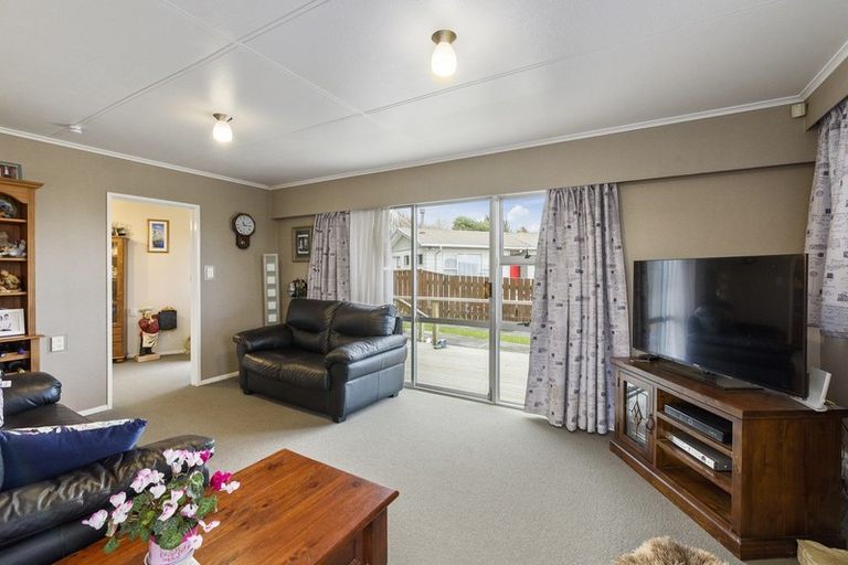 Photo of property in 17 Strathmore Avenue, Levin, 5510