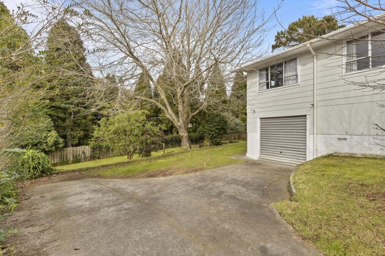 Photo of property in 125 Pembroke Street, Westown, New Plymouth, 4310