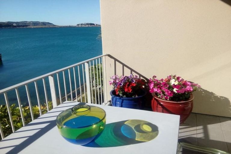 Photo of property in Marrakech Cafe, 14/305 Evans Bay Parade, Hataitai, Wellington, 6021