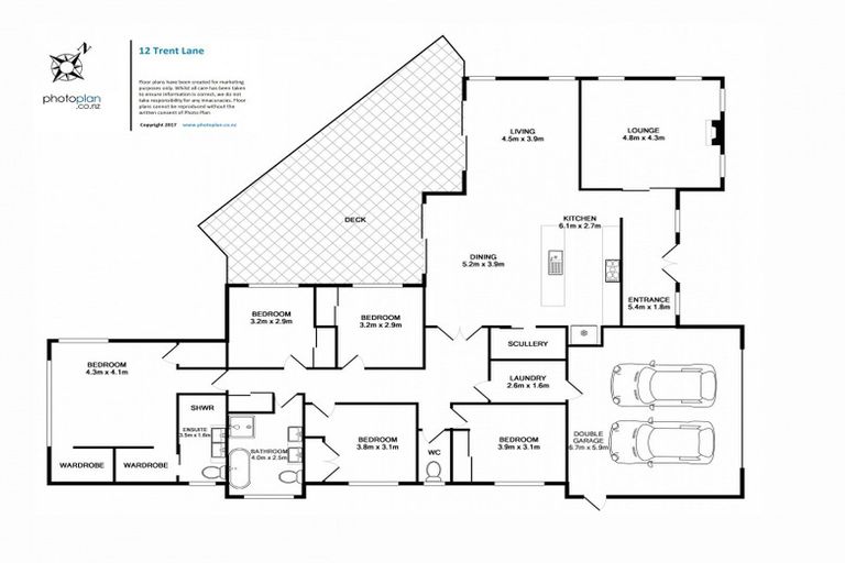 Photo of property in 12 Trent Lane, Flagstaff, Hamilton, 3210