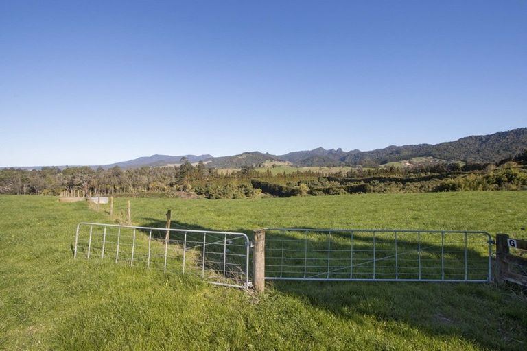 Photo of property in 291 Rea Road, Tahawai, 3178