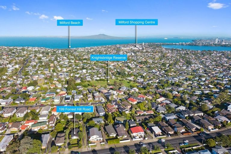Photo of property in 199 Forrest Hill Road, Forrest Hill, Auckland, 0620