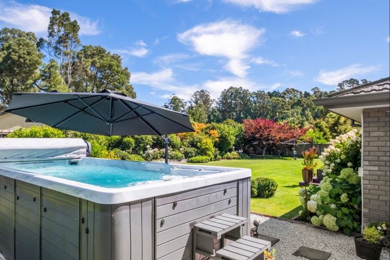 Photo of property in 11 Dryden Street, Whataupoko, Gisborne, 4010