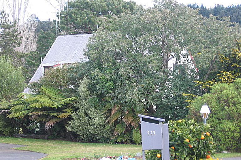 Photo of property in 111 Tobie Place, Whangamata, 3620