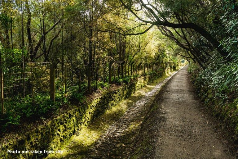 Photo of property in 135 Shetland Street, Wakari, Dunedin, 9010