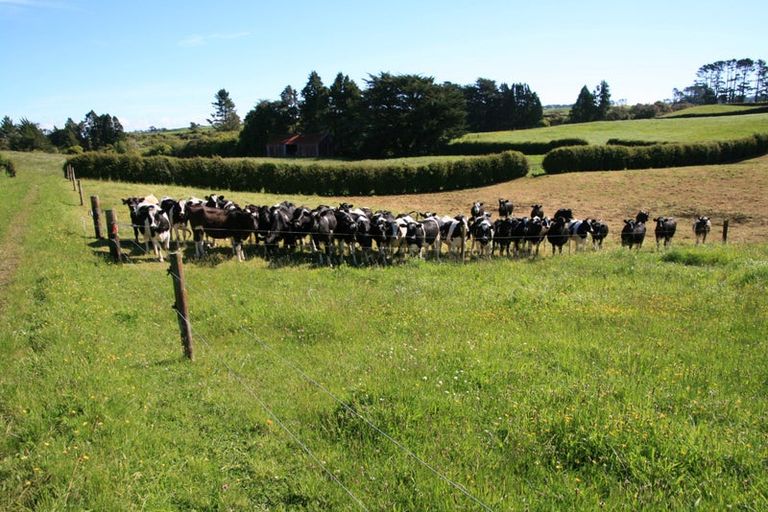 Photo of property in 581r Pembroke Road, Pembroke, Stratford, 4391