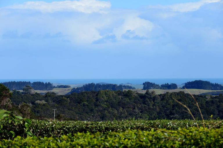 Photo of property in 44 Puriri Block Road, Kaingaroa, Kaitaia, 0482