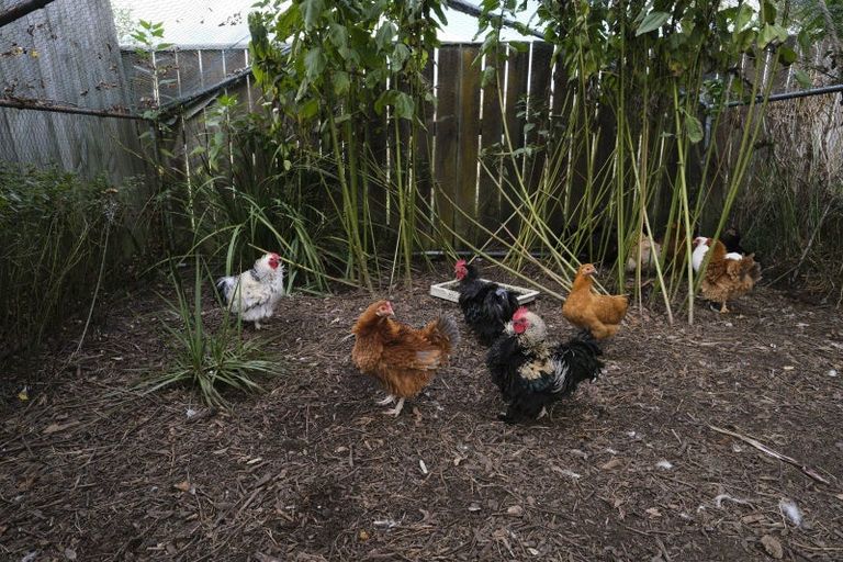 Photo of property in 10437 Route 52, Pongaroa, 4992