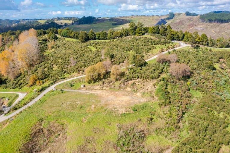 Photo of property in 100 Waere Valley Lane, Warkworth, 0981