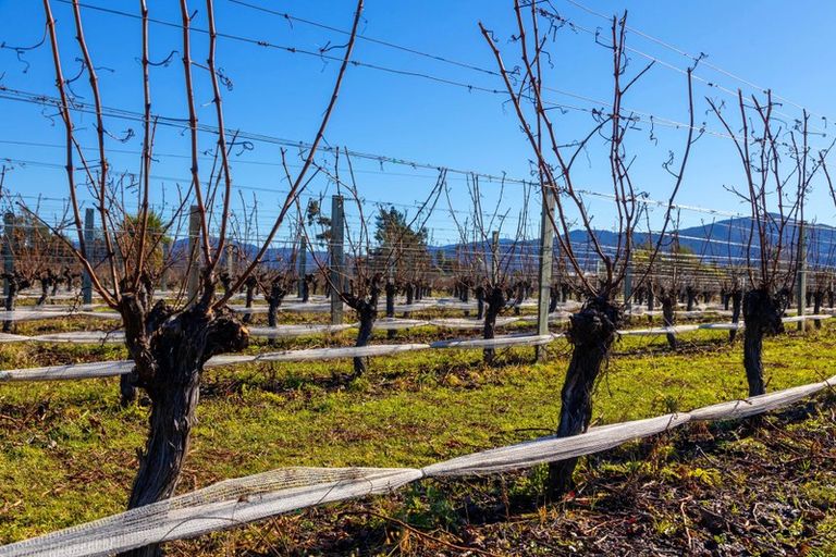 Photo of property in 34a Ferry Road, Days Bay, Lower Hutt, 5013