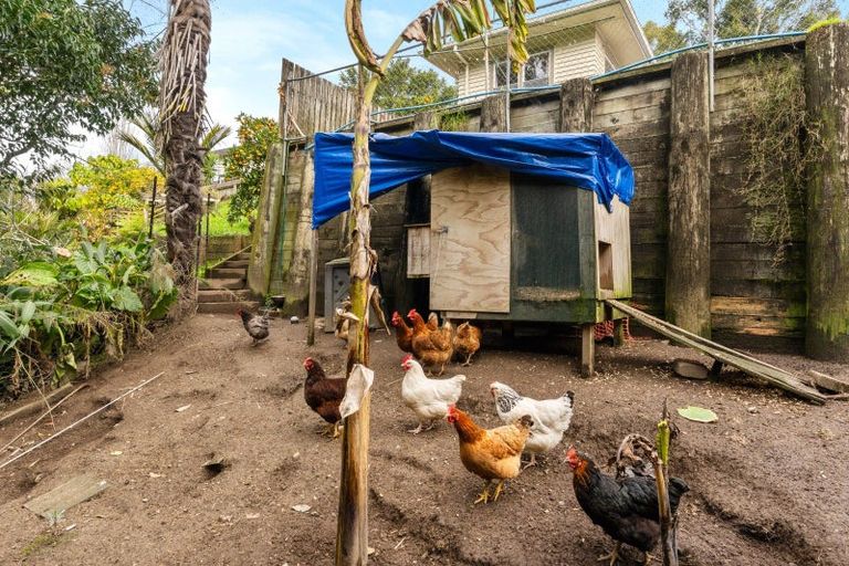 Photo of property in 227 Stout Street, Mangapapa, Gisborne, 4010