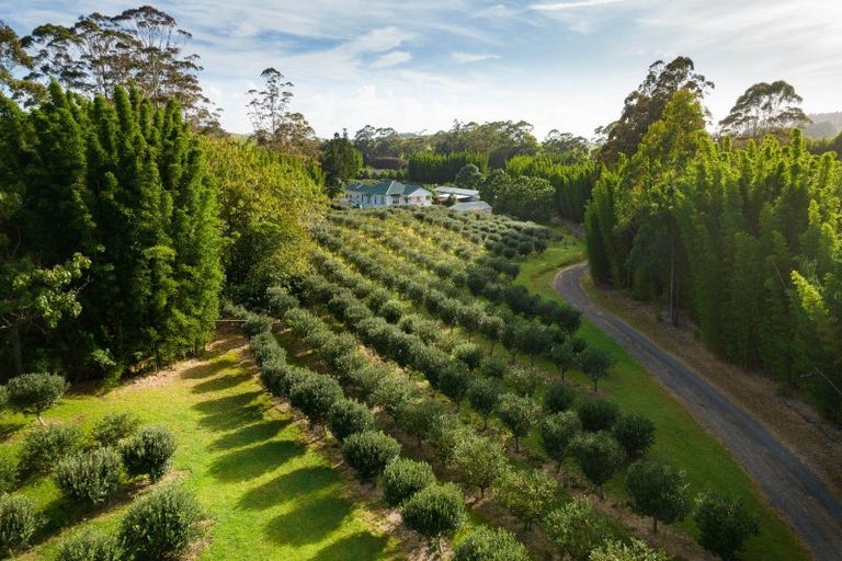 Photo of property in 70 Pukeko Lane, Kerikeri, 0294