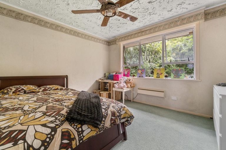 Photo of property in 79 Buscomb Avenue, Henderson, Auckland, 0610