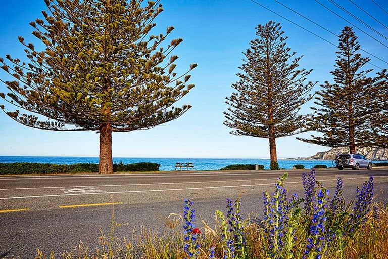 Photo of property in 166a Esplanade, Kaikoura, 7300