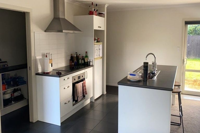 Photo of property in 9 Ladeira Place, Fitzroy, Hamilton, 3206