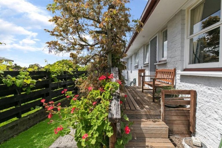 Photo of property in 14 Sunnyhills Avenue, Glenview, Hamilton, 3206