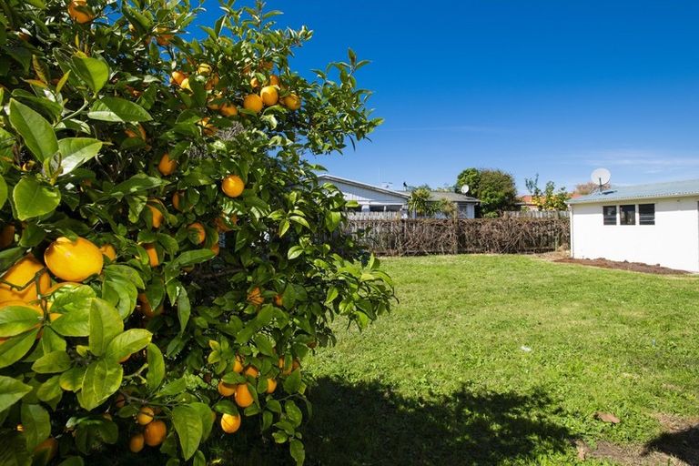Photo of property in 22 Totara Street, Te Hapara, Gisborne, 4010