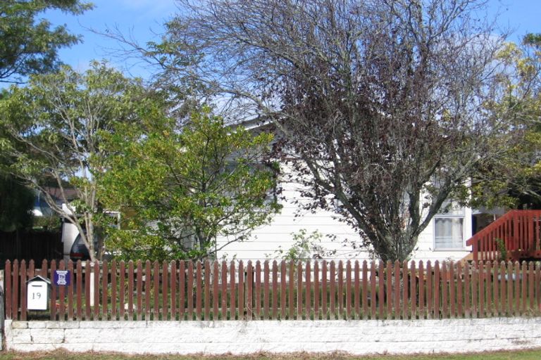 Photo of property in 19 Larissa Avenue, Henderson, Auckland, 0610