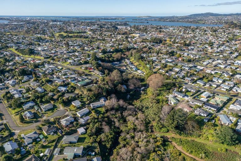 Photo of property in 78 Sherson Street, Gate Pa, Tauranga, 3112