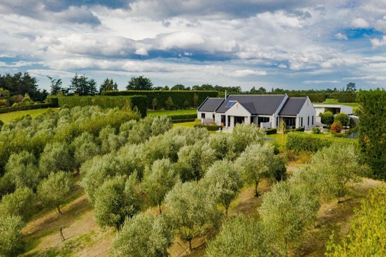 Photo of property in 1253 Oxford Road, Cust, Rangiora, 7471