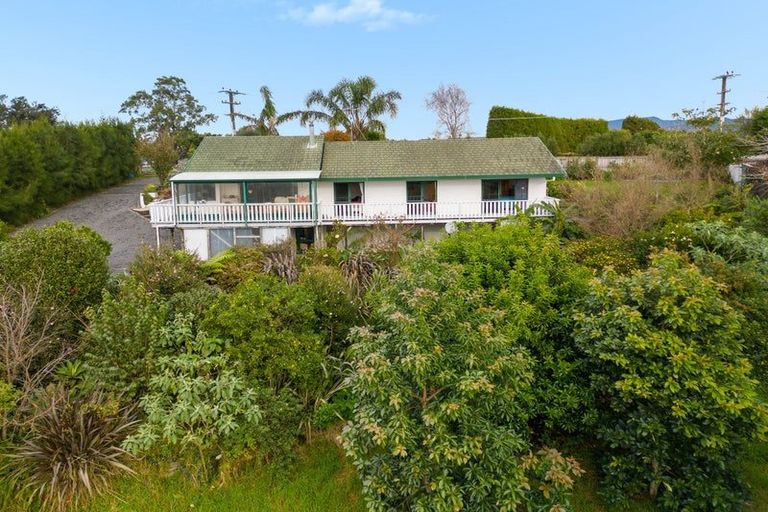 Photo of property in 100 Woodland Road, Tahawai, Katikati, 3170