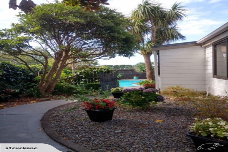 Photo of property in 21 Rata Street, Upper Vogeltown, New Plymouth, 4310