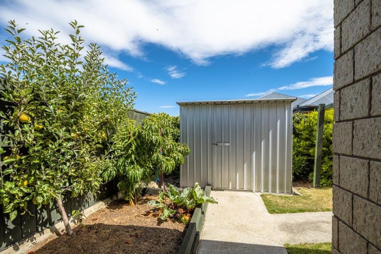 Photo of property in 42 Tremorne Avenue, Blenheim, 7201