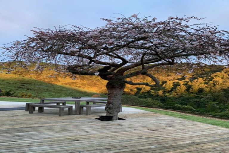 Photo of property in 128d Otonga Valley Road, Raglan, 3295