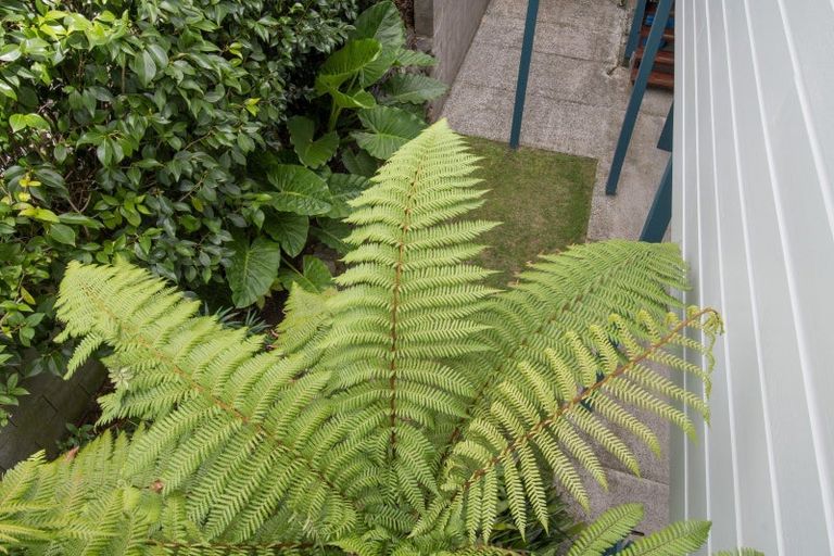 Photo of property in 28a Churchill Road, Judea, Tauranga, 3110