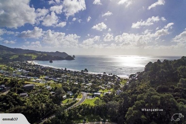 Photo of property in 46 Te Punga Road, Whangapoua, Coromandel, 3582