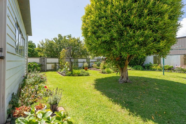 Photo of property in 17 Dundas Street, Whitianga, 3510