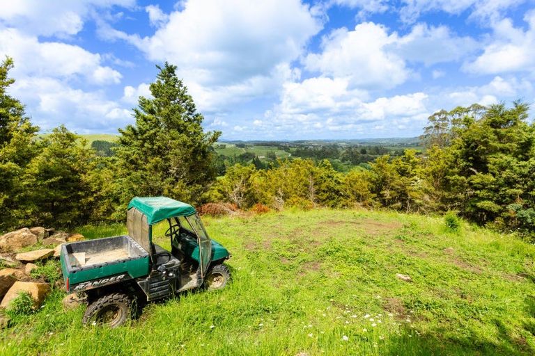 Photo of property in 48 Doel Road, Kawakawa, 0282