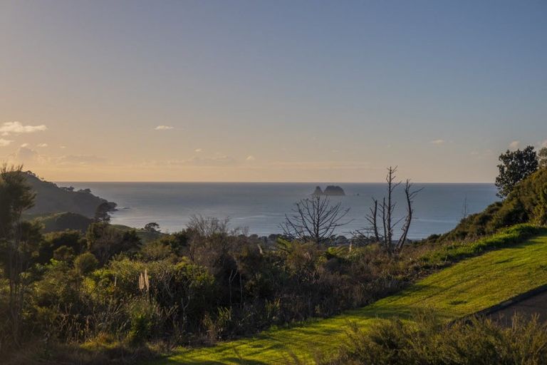 Photo of property in 115 Centennial Drive, Whitianga, 3510