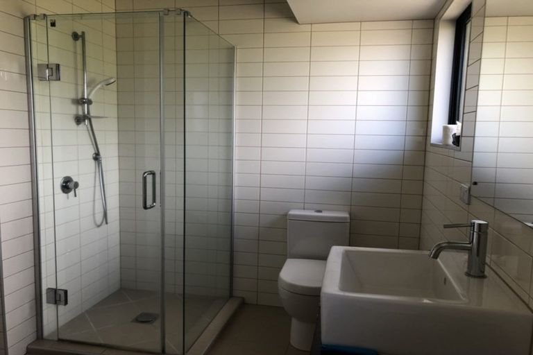 Photo of property in 104 Cyril French Drive, Flat Bush, Auckland, 2016