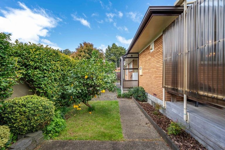 Photo of property in 216b Peachgrove Road, Claudelands, Hamilton, 3214