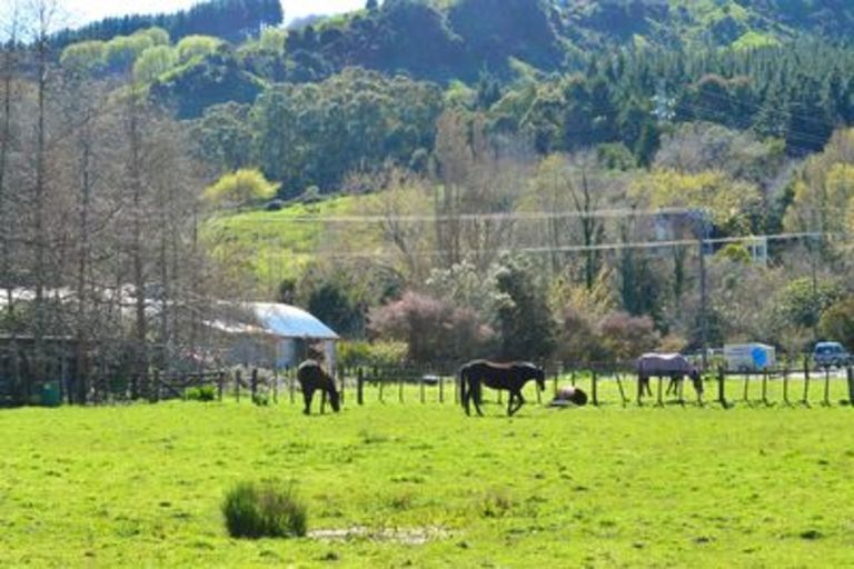 Photo of property in 6 Franklin Street, Mangapapa, Gisborne, 4010