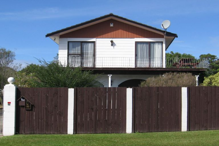 Photo of property in 17 Larissa Avenue, Henderson, Auckland, 0610
