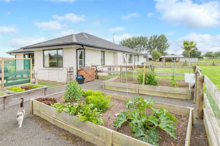 Photo of property in 63c Duck Road, Rotokauri, Hamilton, 3288